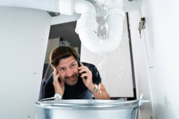 Best Clogged Drain Plumber  in West Ack, NY